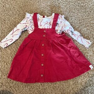 Burts Bees Baby Christmas Dress